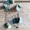 LASS MICH WACHSEN - HERZKETTE mit Ceropegia woodiwoodi » Clo’eT Design