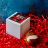 NEUGIERIGE BULBETTO mit Tulpenzwiebel » Clo’eT Design