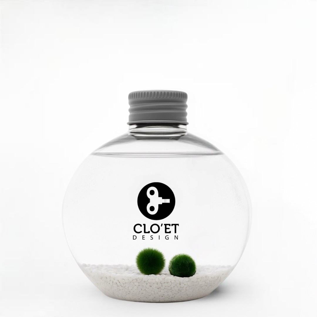 TOI & MOI – Marimo Inséparables | Symbole d'Amour et de Connexion » Clo’eT Des