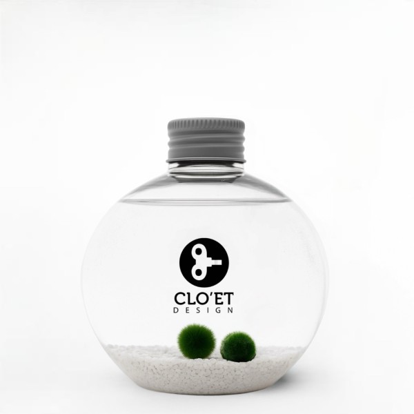 TOI & MOI – Marimo Inséparables | Symbole d'Amour et de Connexion » Clo’eT Des