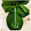 Essential dosing pipette for measuring fertilizer » Clo’eT Design