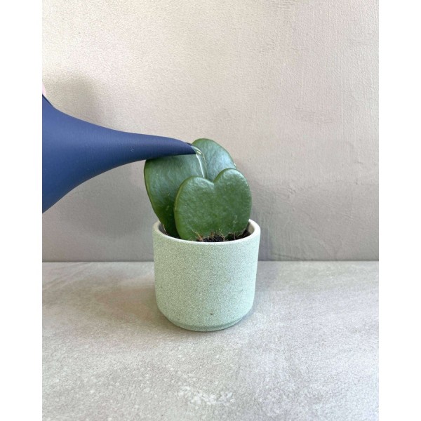 LEAK watering can » Clo’eT Design
