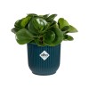VIBES Planter - Deep Blue by Elho » Clo’eT Design