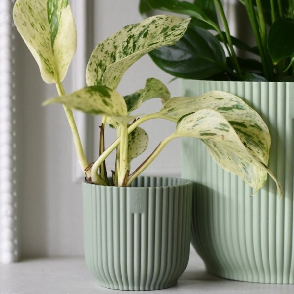 Porte-pot VIBES - Deep Blue by Elho » Clo’eT Design