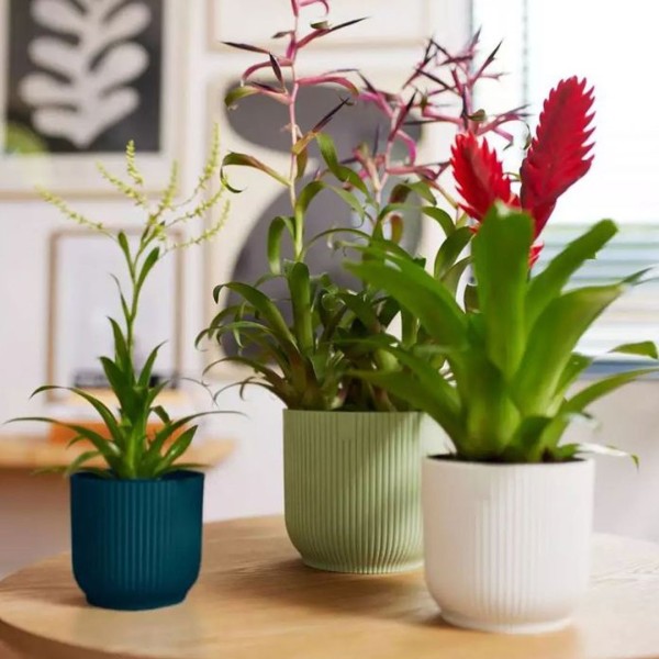 Porte-pot VIBES - Deep Blue by Elho » Clo’eT Design
