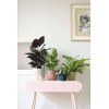 VIBES Planter - Deep Blue by Elho » Clo’eT Design