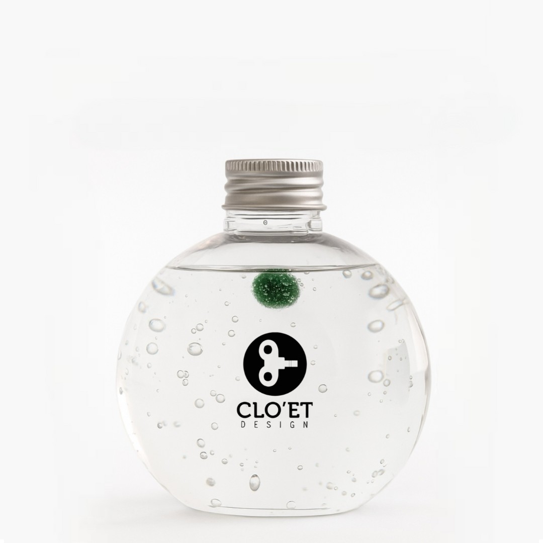 Bébé Marimo de 1 An – Plante Aquatique Porte-bonheur | Clo’eT