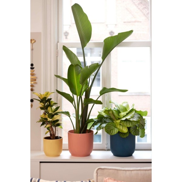 VIBES Planter - Deep Blue by Elho » Clo’eT Design