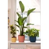 VIBES Planter - Deep Blue by Elho » Clo’eT Design