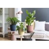 VIBES Planter - Deep Blue by Elho » Clo’eT Design