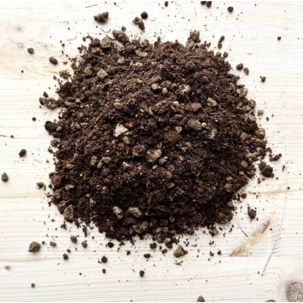 Cactus Soil SPECIAL MIX » Clo’eT Design