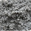 Feiner Sand des Po » Clo’eT Design