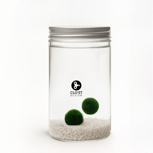 Marimo Inseparabili 7+7 Years | Couple with Floating Heart » Clo’eT Design