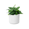 B.FOR Soft by Elho » Clo’eT Design