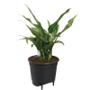 Canestro White - Wasserreservoir von Elho » Clo’eT Design