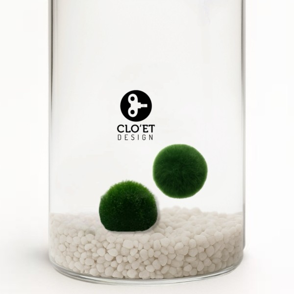 Marimo Inseparabili 7+7 Years | Couple with Floating Heart » Clo’eT Design