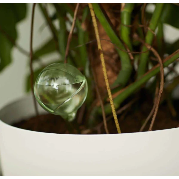 Aqua Care by Elho » Clo’eT Design