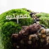 Splendi - Cloettario » Clo’eT Design