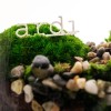 Ardi - Cloettario » Clo'eT Design