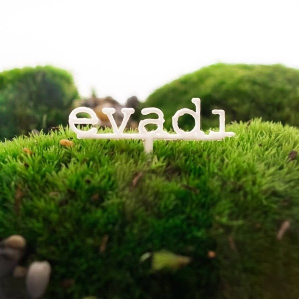 Evadi - Cloettario » Clo'eT Design