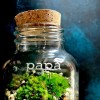 Papa - Édition Limitée - Cloettario » Clo'eT Design