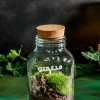 Danke - Cloettario » Clo’eT Design