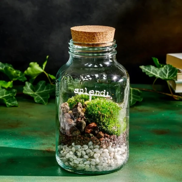 Splendi - Cloettario » Clo’eT Design