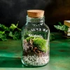 Splendi - Cloettario » Clo’eT Design