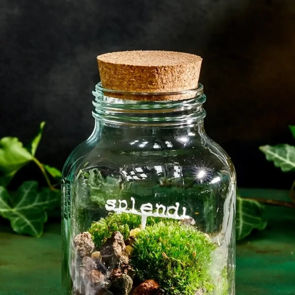Splendi - Cloettario » Clo’eT Design