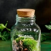 Splendi - Cloettario » Clo’eT Design