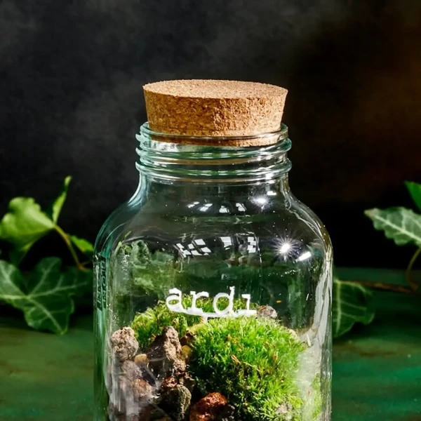 Ardi - Cloettario » Clo'eT Design