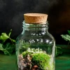 Ardi - Cloettario » Clo'eT Design