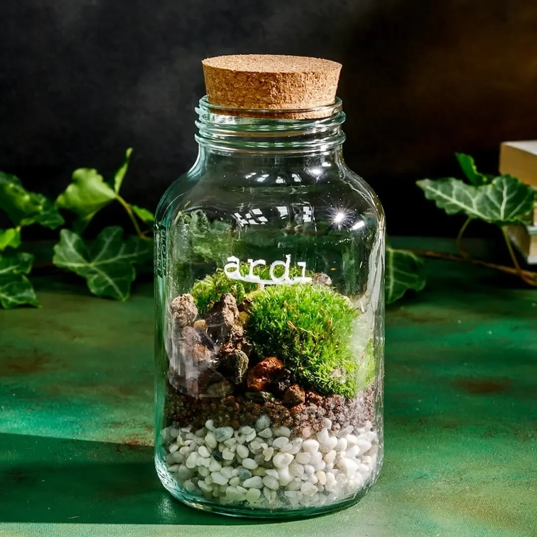 Ardi - Cloettario » Clo'eT Design