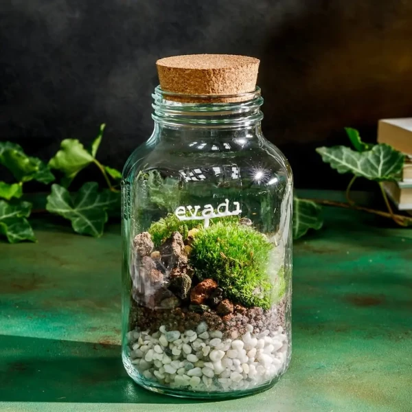 Evadi - Cloettario » Clo'eT Design