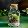 Evadi - Cloettario » Clo'eT Design