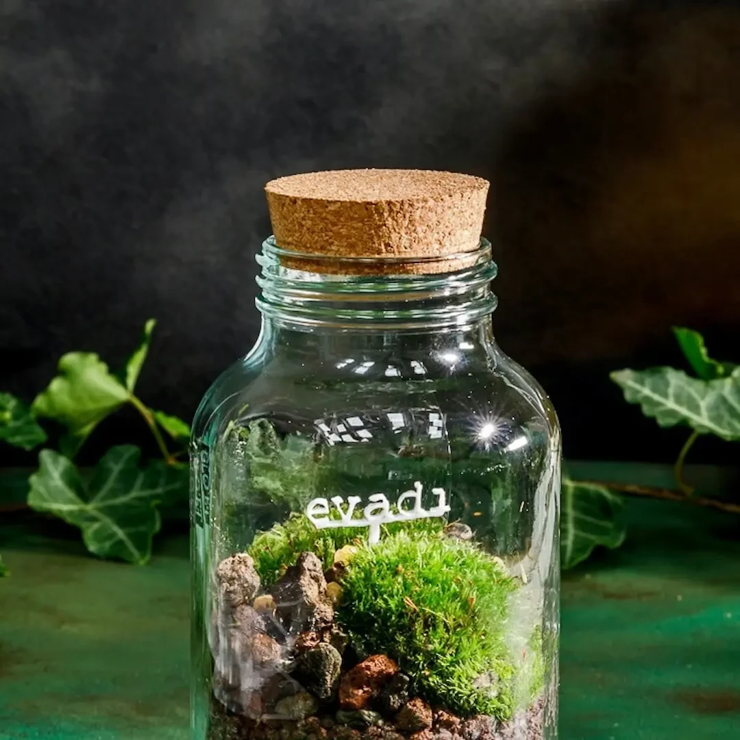 Evadi - Cloettario » Clo'eT Design