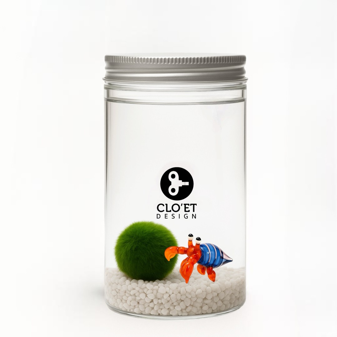 Marimo 10 Ans + Compagnon de Fond | Amitié Qui Dure | Clo’eT