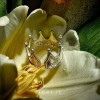 Prends soin de briller - Bijoux » Clo'eT Design