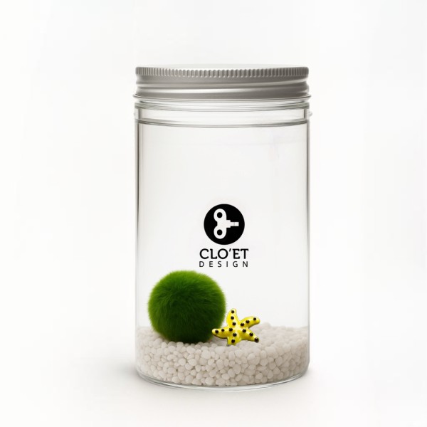 Marimo 10 Ans + Compagnon de Fond | Amitié Qui Dure | Clo’eT