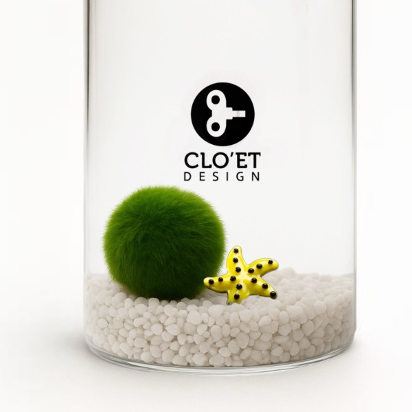 Marimo 10 Ans + Compagnon de Fond | Amitié Qui Dure | Clo’eT